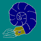 �A�����i�C�g �Q���N�O