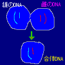 ���̃V�X�e��