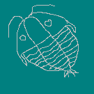 �O�t�� 5��4000�N�O