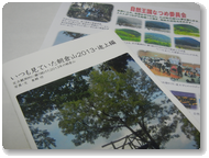 自然王国なつめ委員会執行部会