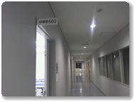 市子連事務局との打ち合わせ会