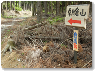 朝倉山整備事業