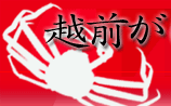 �z�O���Ɂ@�C�̏h�@�R����
