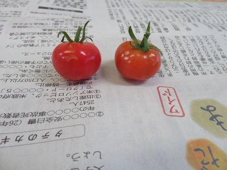 スクロール画像