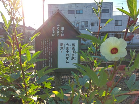 スクロール画像