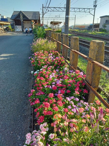 スクロール画像