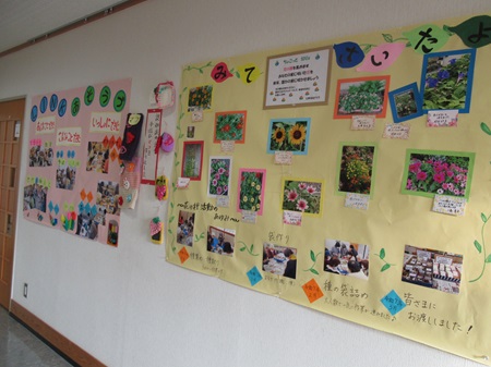 スクロール画像