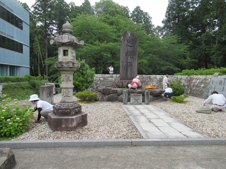 スクロール画像