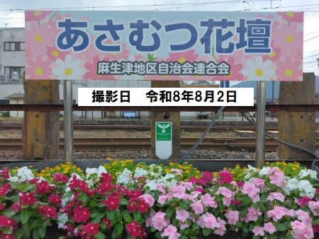 スクロール画像