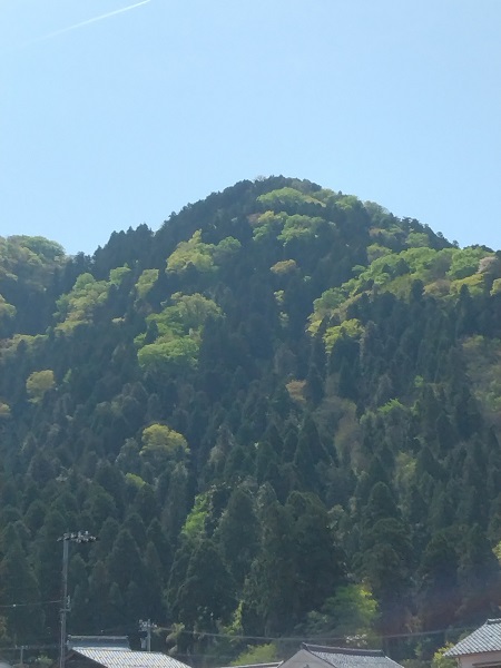 スクロール画像