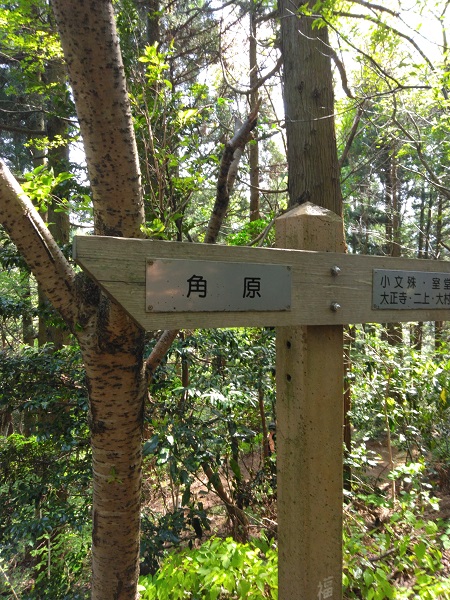 スクロール画像