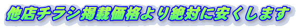 X`Vfډi΂Ɉ܂