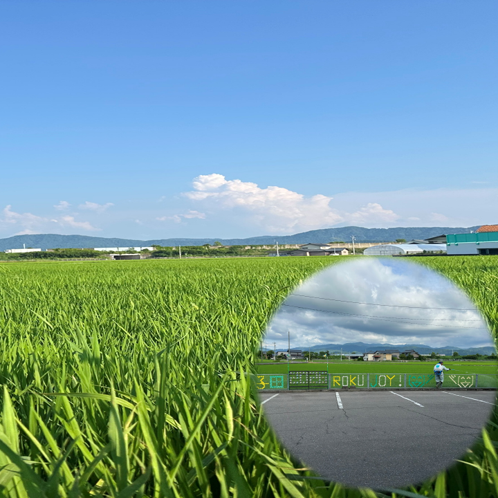 活動写真