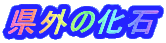 ���O�̉���