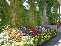 くるみ児童館の花壇